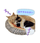 Ko-Tzy  vol.2（個別スタンプ：2）