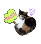 Ko-Tzy  vol.2（個別スタンプ：7）