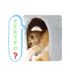 Ko-Tzy  vol.2（個別スタンプ：8）