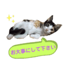 Ko-Tzy  vol.2（個別スタンプ：9）