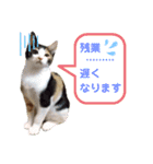 Ko-Tzy  vol.2（個別スタンプ：13）