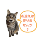 Ko-Tzy  vol.2（個別スタンプ：14）