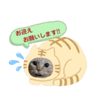 Ko-Tzy  vol.2（個別スタンプ：15）