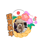 小恋ちゃん（個別スタンプ：7）