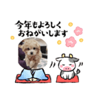 小恋ちゃん（個別スタンプ：8）