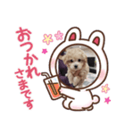 小恋ちゃん（個別スタンプ：13）