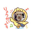 小恋ちゃん（個別スタンプ：14）