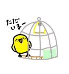 うちのインコ。1（個別スタンプ：10）