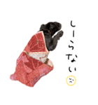 黒シュナ ゴンちゃんスタンプ 3（個別スタンプ：22）