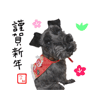 黒シュナ ゴンちゃんスタンプ 3（個別スタンプ：40）