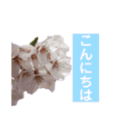 hana＊花＊flower（個別スタンプ：6）