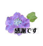 hana＊花＊flower（個別スタンプ：11）