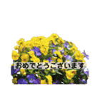 hana＊花＊flower（個別スタンプ：13）