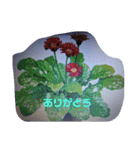 絵手紙を送ります（個別スタンプ：7）