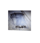 絵手紙を送ります（個別スタンプ：11）