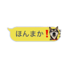 うちのオハナ第三弾 黒柴ときどきウズラ（個別スタンプ：11）