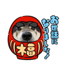 うちのオハナ第三弾 黒柴ときどきウズラ（個別スタンプ：25）
