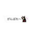 うちのオハナ第三弾 黒柴ときどきウズラ（個別スタンプ：26）
