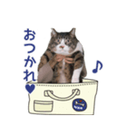 201220185046.102vuMp（個別スタンプ：2）