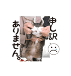 201220185046.102vuMp（個別スタンプ：3）