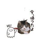 201220185046.102vuMp（個別スタンプ：4）