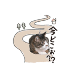 201220185046.102vuMp（個別スタンプ：5）