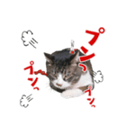 201220185046.102vuMp（個別スタンプ：6）