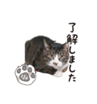 201220185046.102vuMp（個別スタンプ：7）