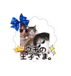 201220185046.102vuMp（個別スタンプ：8）