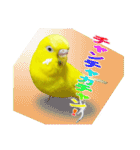セキセイインコのユッキー（個別スタンプ：9）