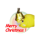 セキセイインコのユッキー（個別スタンプ：22）