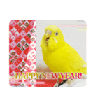 セキセイインコのユッキー（個別スタンプ：23）