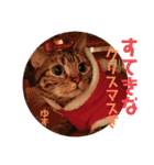 愛されニャンズ 2（個別スタンプ：7）
