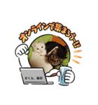 愛されニャンズ 2（個別スタンプ：8）