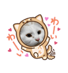 愛されニャンズ 2（個別スタンプ：11）