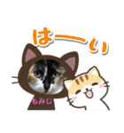 愛されニャンズ 2（個別スタンプ：21）