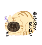 愛されニャンズ 2（個別スタンプ：37）