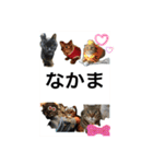 愛されニャンズ 2（個別スタンプ：40）