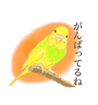 セキセイインコのミントくん（個別スタンプ：2）