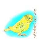セキセイインコのミントくん（個別スタンプ：4）