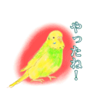 セキセイインコのミントくん（個別スタンプ：5）