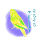 セキセイインコのミントくん（個別スタンプ：6）