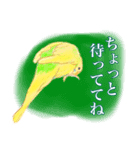 セキセイインコのミントくん（個別スタンプ：7）