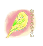 セキセイインコのミントくん（個別スタンプ：8）