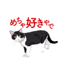 関西弁を喋るハチワレ猫（個別スタンプ：1）