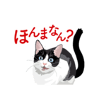 関西弁を喋るハチワレ猫（個別スタンプ：30）