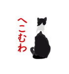 関西弁を喋るハチワレ猫（個別スタンプ：31）