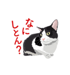 関西弁を喋るハチワレ猫（個別スタンプ：32）