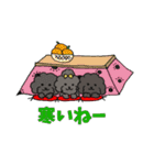 黒プーFamily（個別スタンプ：22）