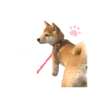 きなこのすたんぷ、❷（個別スタンプ：8）